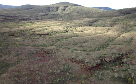 Ecological Survey and Offsets